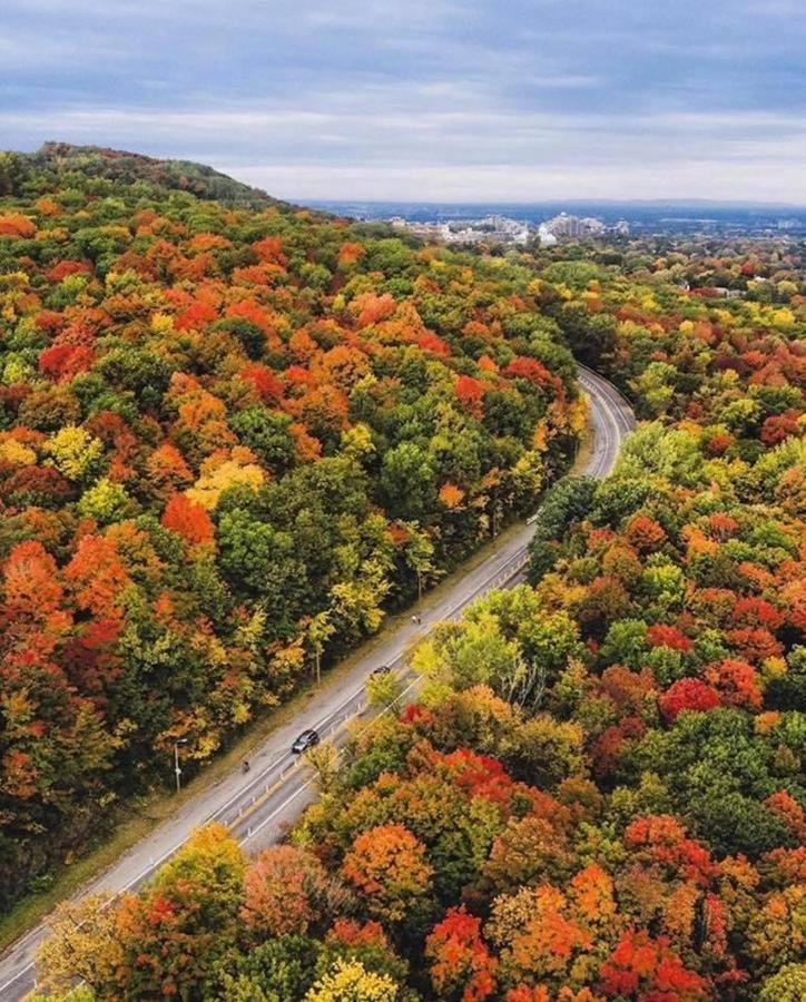 Hotel And Suites Les Laurentides Saint-Sauveur-des-Monts Dış mekan fotoğraf